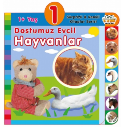 1+ Yaş – Dostumuz Evcil Hayvanlar | Olala Books | 0-6 Yaş Yayınları