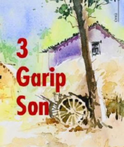 3 Garip Son | Mustafa Naci Özer | Karina Kitap