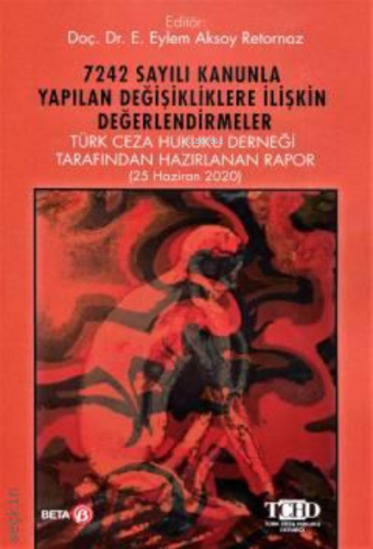 7242 Sayılı Kanunla Yapılan Değişikliklere İlişkin Değerlendirmeler | 