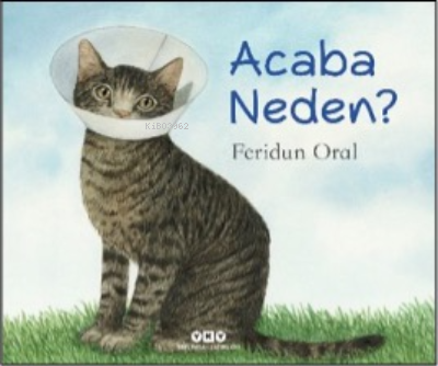 Acaba Neden? | Feridun Oral | Yapı Kredi Yayınları ( YKY )