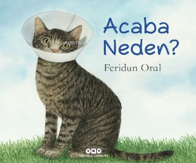 Acaba Neden? | Feridun Oral | Yapı Kredi Yayınları ( YKY )