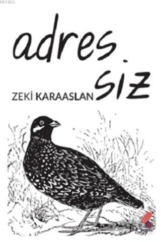 Adressiz | Zeki Karaaslan | Klaros Yayınları