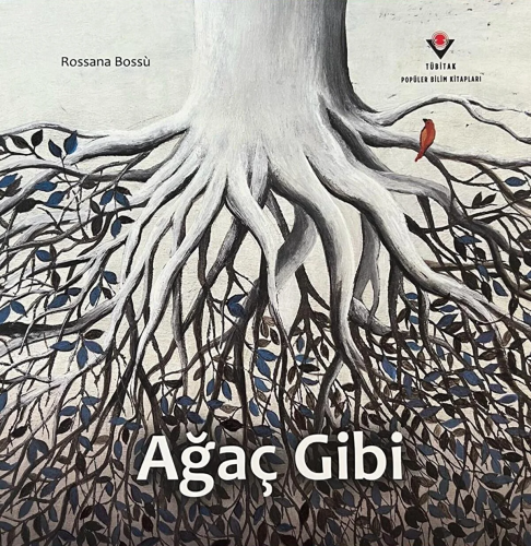 Ağaç Gibi | Rossana Bossu | Tübitak