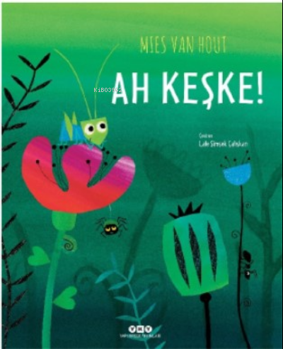 Ah Keşke! | Mies Van Hout | Yapı Kredi Yayınları ( YKY )