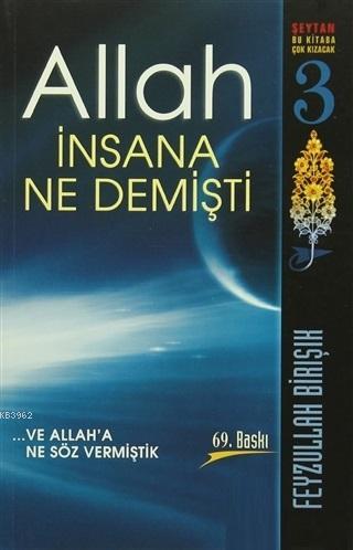 Allah İnsana Ne Demişti | Feyzullah Birışık | Karınca & Polen Yayınlar