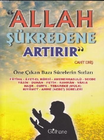 Allah Şükredene Artırır; Öne Çıkan Bazı Surelerin Sırları | Cahit Eriş