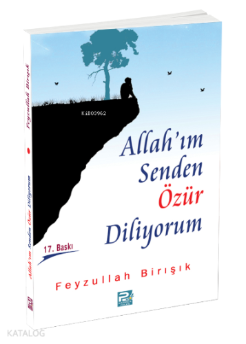 Allah'ım Senden Özür Diliyorum | Feyzullah Birışık | Karınca & Polen Y