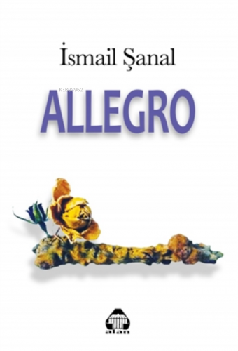 Allegro | İsmail Şanal | Alan Yayıncılık