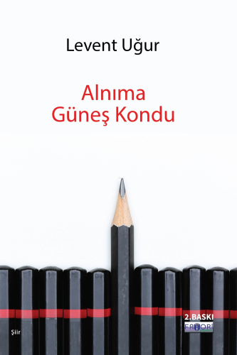 Alnıma Güneş Kondu | Levent Uğur | Favori Yayınları