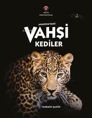 Anadolu'daki Vahşi Kediler | Yasemin Şahin | Tübitak