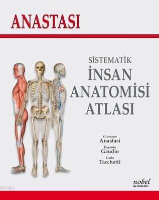 Anastasi - Sistematik İnsan Anatomi Atlası | Carlo Tacchetti | Nobel T