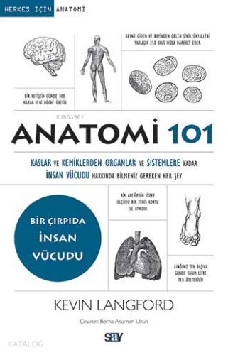 Anatomi 101; Kaslar ve Kemiklerden Organlar ve Sistemlere kadar İnsan 