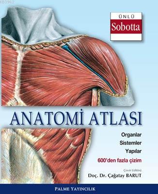 Anatomi Atlası Sobotta Çizimleri | | Palme Yayınevi