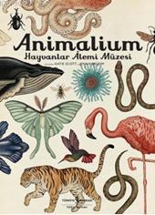 Animalium - Hayvanlar Alemi Müzesi (Ciltli) | Katie Scott | Türkiye İş