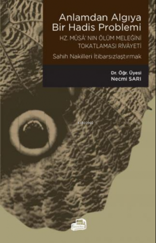 Anlamdan Algıya Bir Hadis Problemi | Necmi Sarı | Ümmül Kura Yayınevi