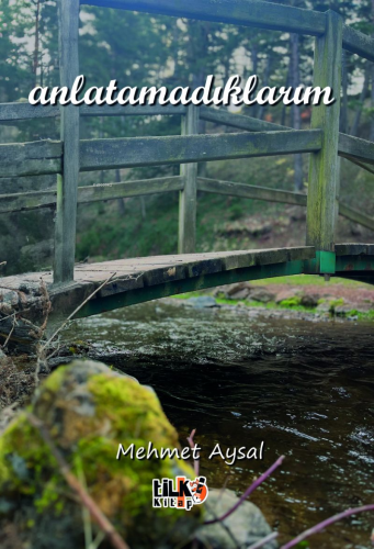 Anlatamadıklarım | Mehmet Aysal | Tilki Kitap