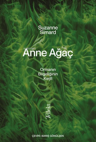 Anne Ağaç;Ormanın Bilgeliğin Keşfi | Suzanne Simard | Tellekt Yayınevi