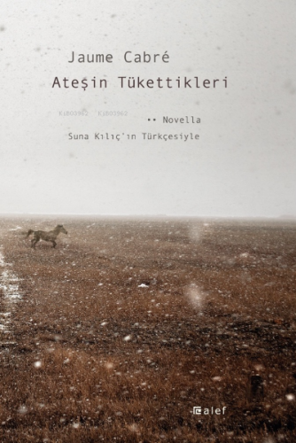 Ateşin Tükettikleri | Jaume Cabre | Alef Yayınevi