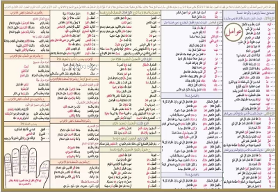 Avamil Şeması Ali Kara | Kolektif | Kitap Kalbi Yayıncılık