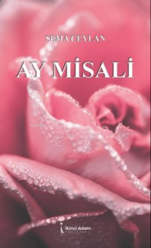 Ay Misali | Sema Ceylan | İkinci Adam Yayınları