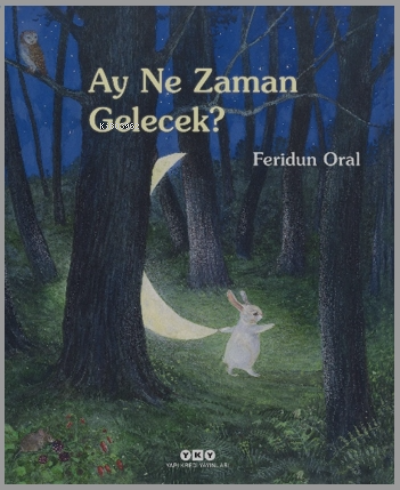 Ay Ne Zaman Gelecek? (Karton Kapak) | Feridun Oral | Yapı Kredi Yayınl