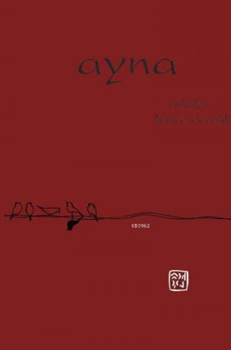 Ayna | Hatice Meraklı | Kutlu Yayınevi