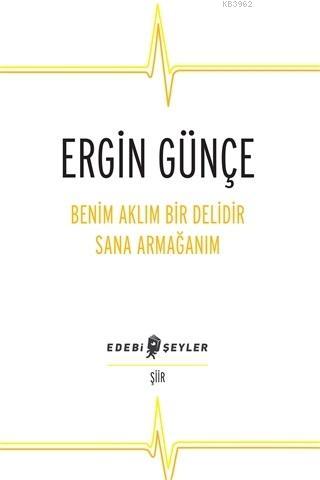 Benim Aklım Bir Delidir Sana Armağanım | Ergin Günçe | Edebi Şeyler