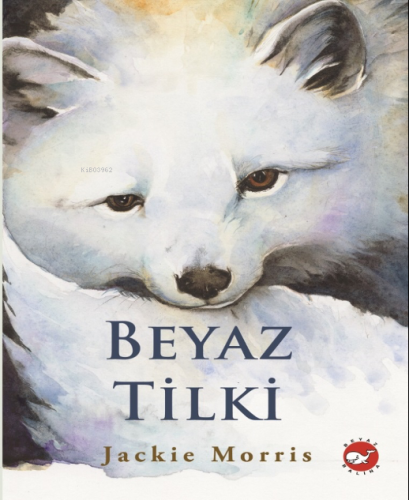 Beyaz Tilki | Jackie Morris | Beyaz Balina Yayınları