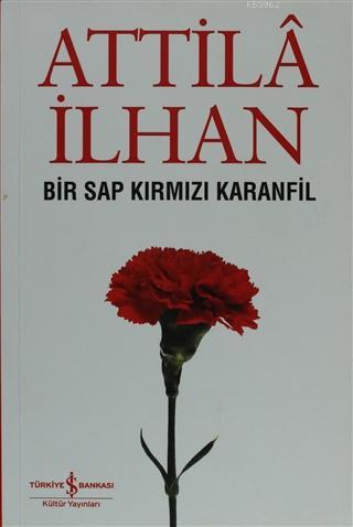 Bir Sap Kırmızı Karanfil Cumhuriyet Söyleşileri (Eylül '96 - Mart '97)