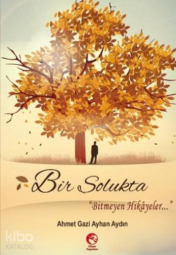 Bir Solukta Bitmeyen Hikayeler | Ahmet Gazi Ayhan Aydın | Cihan Yayınl