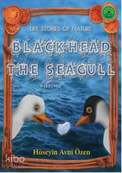 Blackhead The Seagull | Hüseyin Avni Özen | Büyülü Fener Yayınları