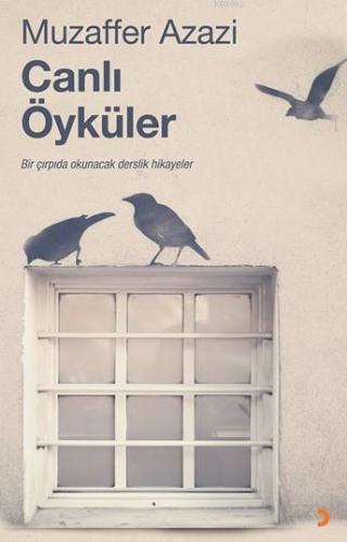 Canlı Öyküler; Bir Çırpıda Okunacak Derslik Hikâyeler | Muzaffer Azazi