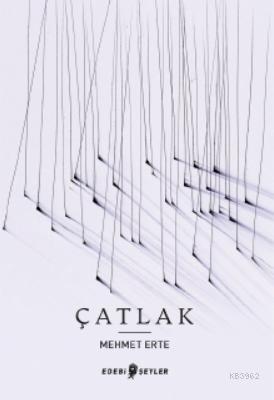 Çatlak | Mehmet Erte | Edebi Şeyler