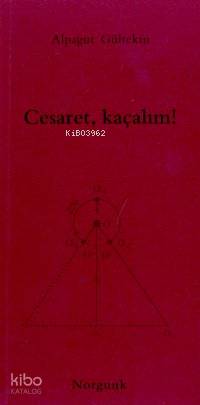 Cesaret, Kaçalım! | Alpagut Gültekin | Norgunk Yayıncılık