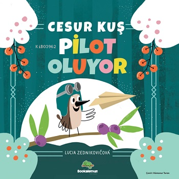 Cesur Kuş Pilot Oluyor | Lucia Zednikovicova | Bookalemun Yayınevi