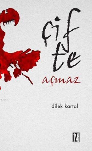 Çifte Açmaz | Dilek Kartal | İz Yayıncılık