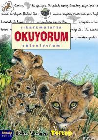 Çıkartmalarla Okuyorum Eğleniyorum; Aslan Yavrusu Tortop | Delphine La