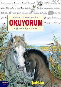 Çıkartmalarla Okuyorum Eğleniyorum; Küçük Tay Şahlan | Delphine Lachar