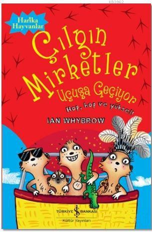 Çılgın Mirketler: Uçuşa Geçiyor | Ian Whybrow | Türkiye İş Bankası Kül