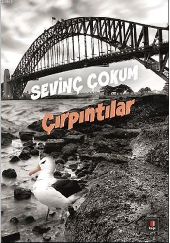 Çırpıntılar | Sevinç Çokum | Kapı Yayınları