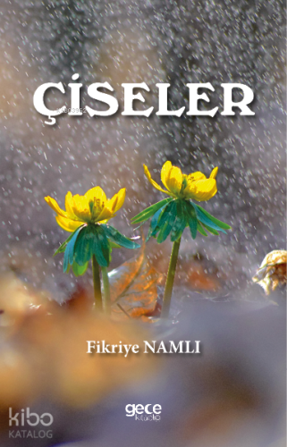 Çiseler | Fikriye Namlı | Gece Kitaplığı Yayınları