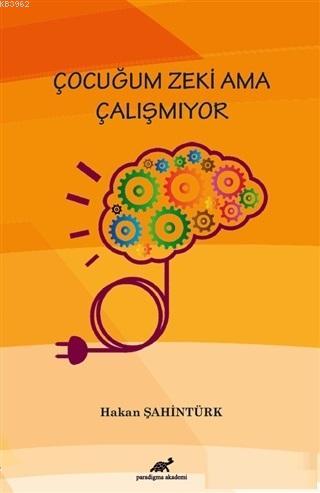 Çocuğum Zeki Ama Çalışmıyor | Hakan Şahintürk | Paradigma Akademi Yayı