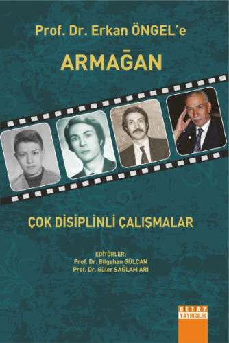 Çok Disiplinli Çalışmalar | Güler Sağlam Arı | Detay Yayıncılık