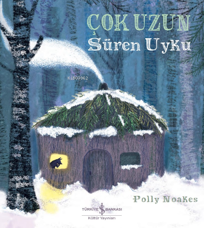 Çok Uzun Süren Uyku | Polly Noakes | Türkiye İş Bankası Kültür Yayınla