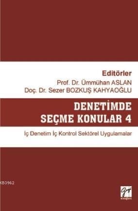 Denetimde Seçme Konular 4 İç Denetim İç Kontrol Sektörel Uygulamalar |