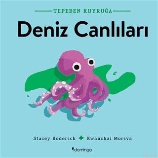 Deniz Canlıları - Tepeden Kuyruğa | Stacey Roderick | Domingo Yayınevi