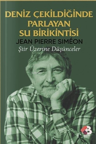 Deniz Çekildiğinde Parlayan Su Birikintisi - Şiir Üzerine Düşünceler |