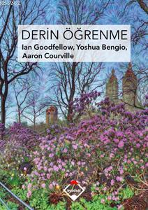 Derin Öğrenme | Ian Goodfellow | Buzdağı Yayınevi