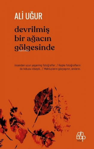 Devrilmiş Bir Ağacın Gölgesinde | Ali Uğur | Ahbap Kitap