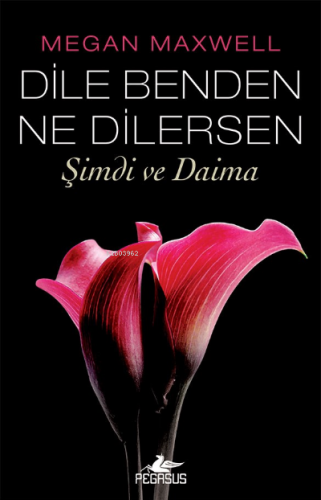 Dile Benden Ne Dilersen;Şimdi ve Daima (Dile Benden Ne Dilersen Serisi